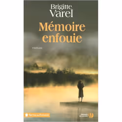 ISBN 9782258070646, Français, Livre broché, 420 pages