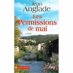ISBN 9782258071063, Français, Livre broché, 348 pages