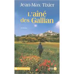 ISBN 9782258072176, Français, Livre broché, 300 pages