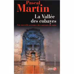 ISBN 9782258080980, Français, Livre broché, 336 pages
