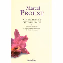 Omnibus A LA RECHERCHE TEMPS PERDU T01, Français, 1555 pages