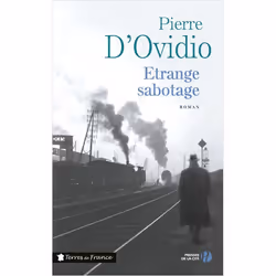 ISBN 9782258104907, Français, Livre broché, 336 pages