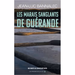 ISBN 9782258118416, Français, Livre broché, 360 pages