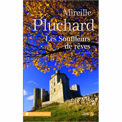 ISBN 9782258133938, Français, Livre broché, 464 pages