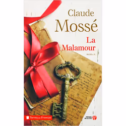 ISBN 9782258135628, Français, Livre broché, 352 pages