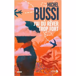 ISBN 9782258162839, Français, Livre broché, 480 pages