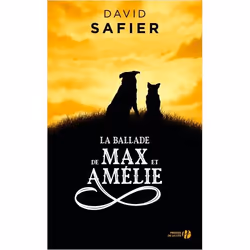ISBN 9782258163508, Français, Livre broché, 384 pages