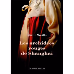 ISBN 9782258196292, Français, Livre broché, 504 pages