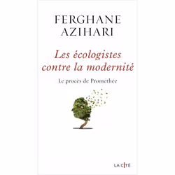 ISBN 9782258197756, Français, Livre broché, 240 pages