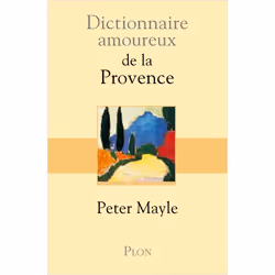 ISBN 9782259199728, Français, Livre broché, 504 pages