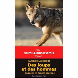 ISBN 9782259268196, Français, Livre broché, 384 pages