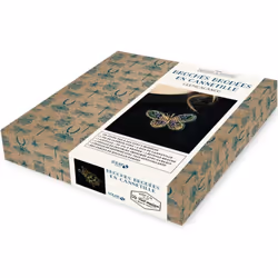 ISBN Coffret broches brodées en cannetille : Le livre de Stéphanie Lejeune, métier & loisirs