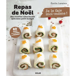 ISBN Repas de Noël - des recettes astucieuses spéciales petit budget : Le livre de Émilie Laraison