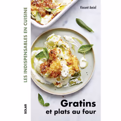ISBN Gratins et plats au four : Le livre de Vincent Amiel, Alimentation, 192 pages
