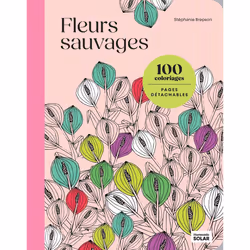 ISBN Fleurs sauvages : Le livre de Stéphanie Brepson, Santé, esprit et corps, 128 pages