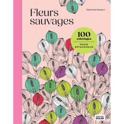 ISBN Fleurs sauvages : Le livre de Stéphanie Brepson