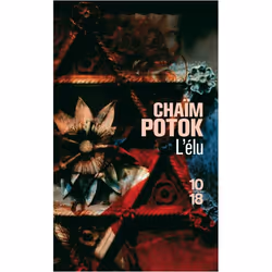ISBN 9782264040848, Français, 384 pages