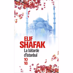 ISBN 9782264047403, Français, 384 pages