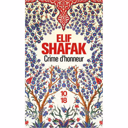 ISBN 9782264060525, Français, 504 pages