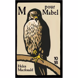 ISBN 9782264071361, Français, 408 pages