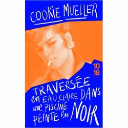 ISBN 9782264071651, Français, 168 pages
