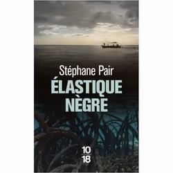 ISBN 9782264072498, Français, 264 pages