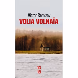 ISBN 9782264072993, Français, 408 pages