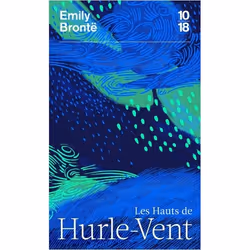 ISBN 9782264073518, Français, 480 pages