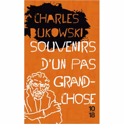 ISBN 9782264076274, Français, 384 pages