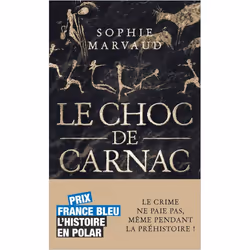 ISBN 9782264077660, Français, 312 pages