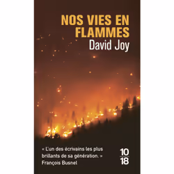 ISBN Nos vies en flammes : Le livre de David Joy, Roman, 336 pages