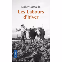 ISBN 9782266072380, Français, 384 pages
