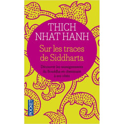 Sur les traces de Siddharta (Broché)