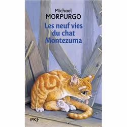 ISBN 9782266087803, Français, 128 pages