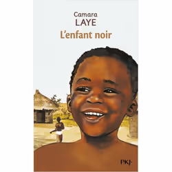 ISBN 9782266108157, Français, 240 pages