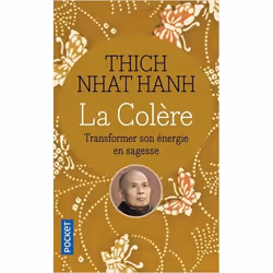 ISBN 9782266126168, Français, 224 pages