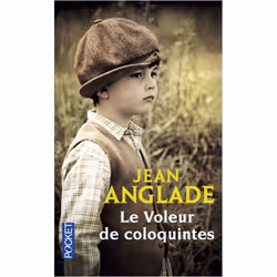 ISBN 9782266131766, Français, 384 pages
