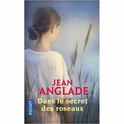 ISBN 9782266133876, Français, 320 pages