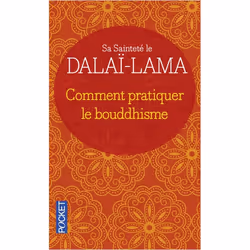 ISBN 9782266135290, Français, 224 pages