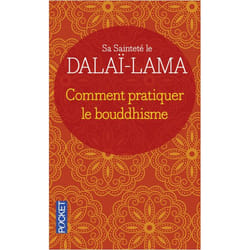 Comment pratiquer le bouddhisme (Broché)