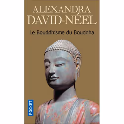 ISBN 9782266142564, Français, 320 pages