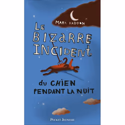 Pocket Jeunesse BIZARRE INCIDENT CHIEN PENDANT, Français, 393 pages