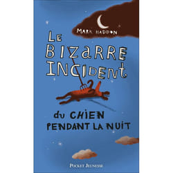 Pocket Jeunesse BIZARRE INCIDENT CHIEN PENDANT