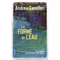 ISBN 9782266142953, Français, 256 pages