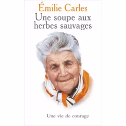 ISBN 9782266145404, Français, 352 pages
