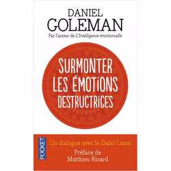 ISBN 9782266146142, Français, 704 pages