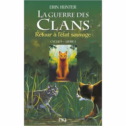 ISBN 9782266149488, Français, Livre broché, 300 pages