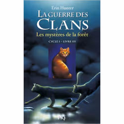 ISBN 9782266149501, Français, Livre broché, 336 pages