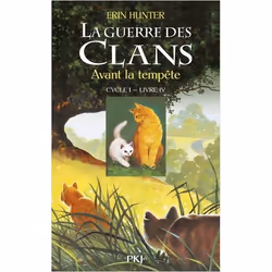 ISBN 9782266149518, Français, Livre broché, 348 pages