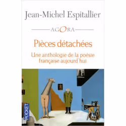 ISBN 9782266159531, Français, 320 pages